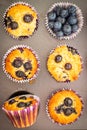 Homemade gluten free almond flour blueberry muffins in the baking tray Royalty Free Stock Photo