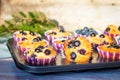 Homemade gluten free almond flour blueberry muffins in the baking tray Royalty Free Stock Photo