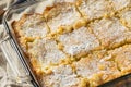 Homemade Gooey Butter Cake Royalty Free Stock Photo