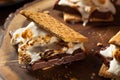 Homemade Gooey Marshmallow S'mores Royalty Free Stock Photo