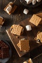 Homemade Gooey S'mores with Chocolate Royalty Free Stock Photo