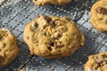 Homemade Gooey Smores Cookies Royalty Free Stock Photo