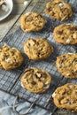 Homemade Gooey Smores Cookies Royalty Free Stock Photo