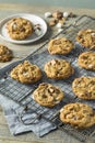 Homemade Gooey Smores Cookies Royalty Free Stock Photo