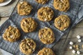 Homemade Gooey Smores Cookies Royalty Free Stock Photo