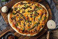 Homemade Gourmet Anchovy PIzza Royalty Free Stock Photo