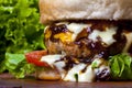 gourmet burger with delicious fresh ingredients Royalty Free Stock Photo