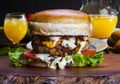 Homemade gourmet burger Royalty Free Stock Photo