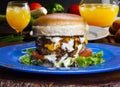 Homemade gourmet burger Royalty Free Stock Photo