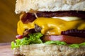 gourmet burger with delicious fresh ingredients Royalty Free Stock Photo