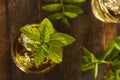 Homemade Gourmet Mint Julep Royalty Free Stock Photo