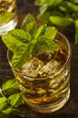 Homemade Gourmet Mint Julep Royalty Free Stock Photo