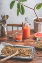 Homemade granola on baking sheet Royalty Free Stock Photo