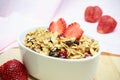 Homemade granola breakfast health food