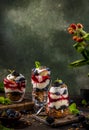 Homemade granola with greek yogurt, berries jam and fresh blackberries and blueberries in glasses Royalty Free Stock Photo