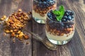 Homemade granola, muesli with blueberry and yogurt in glasses Royalty Free Stock Photo