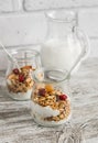 Homemade granola and natural yoghurt on a light wooden surface. Healthy food Royalty Free Stock Photo