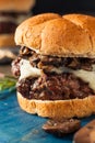 Homemade Grassfed Mushroom and Swiss Cheese Hamburger Royalty Free Stock Photo