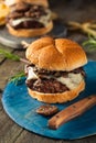 Homemade Grassfed Mushroom and Swiss Cheese Hamburger Royalty Free Stock Photo