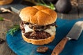 Homemade Grassfed Mushroom and Swiss Cheese Hamburger Royalty Free Stock Photo