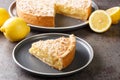 Homemade grated cake tart with lemon curd close-up in a plate. Horizontal