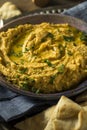 Homemade Greek Pumpkin Hummus