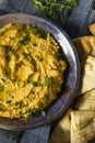 Homemade Greek Pumpkin Hummus