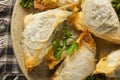 Homemade Greek Spanakopita Pastry