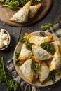 Homemade Greek Spanakopita Pastry Royalty Free Stock Photo