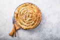 Homemade greek spanakopita pie with organic spinach