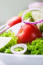 Homemade greek or summer salad with fresh vegetables in a plate Royalty Free Stock Photo