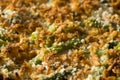 Homemade Green Bean Casserole Royalty Free Stock Photo