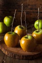 Homemade Green Caramel Apples Royalty Free Stock Photo