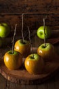 Homemade Green Caramel Apples Royalty Free Stock Photo