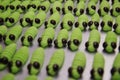 Homemade green caterpillar cookies in rows