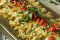 Homemade Green Chicken Enchiladas Royalty Free Stock Photo