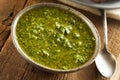 Homemade Green Chimichurri Sauce Royalty Free Stock Photo