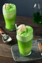 Homemade Green Ice Cream Soda Float