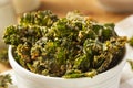 Homemade Green Kale Chips Royalty Free Stock Photo