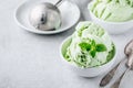 Homemade green lime Ice Cream with mint leaves Royalty Free Stock Photo