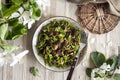 Homemade green nettle pasta with fried spring morel mushrooms Royalty Free Stock Photo