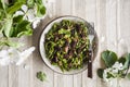 Homemade green nettle pasta with fried spring morel mushrooms Royalty Free Stock Photo