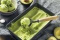 Homemade Green Organic Avocado Ice Cream