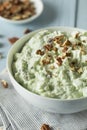 Homemade Green Pistachio Fluff Dessert Royalty Free Stock Photo