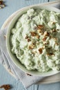 Homemade Green Pistachio Fluff Dessert Royalty Free Stock Photo