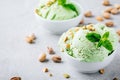 Homemade green Pistachio Ice Cream with mint leaves Royalty Free Stock Photo