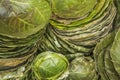 A homemade green plates of various sizes from natural leaves are in piles