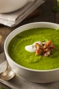 Homemade Green Spring Pea Soup Royalty Free Stock Photo