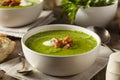 Homemade Green Spring Pea Soup Royalty Free Stock Photo