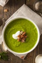 Homemade Green Spring Pea Soup Royalty Free Stock Photo